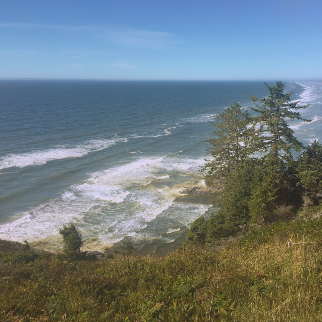 cape disappointment