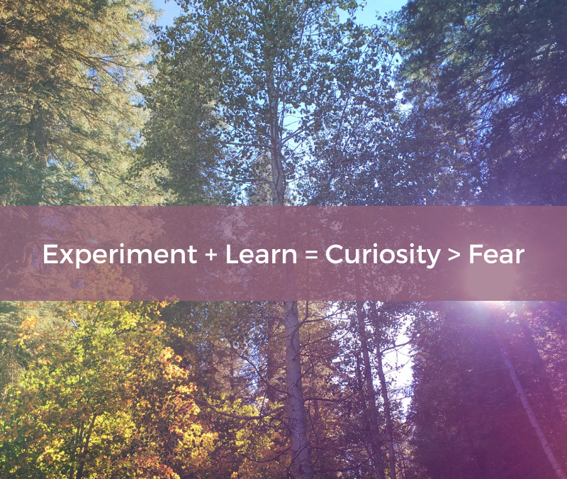 experimental mindset