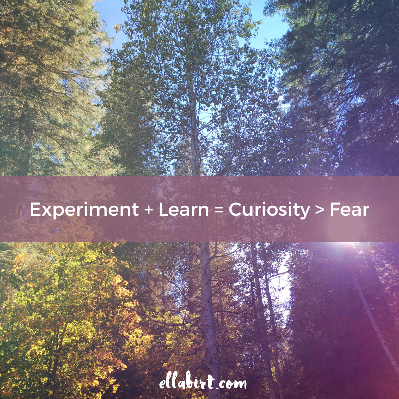 experimental mindset
