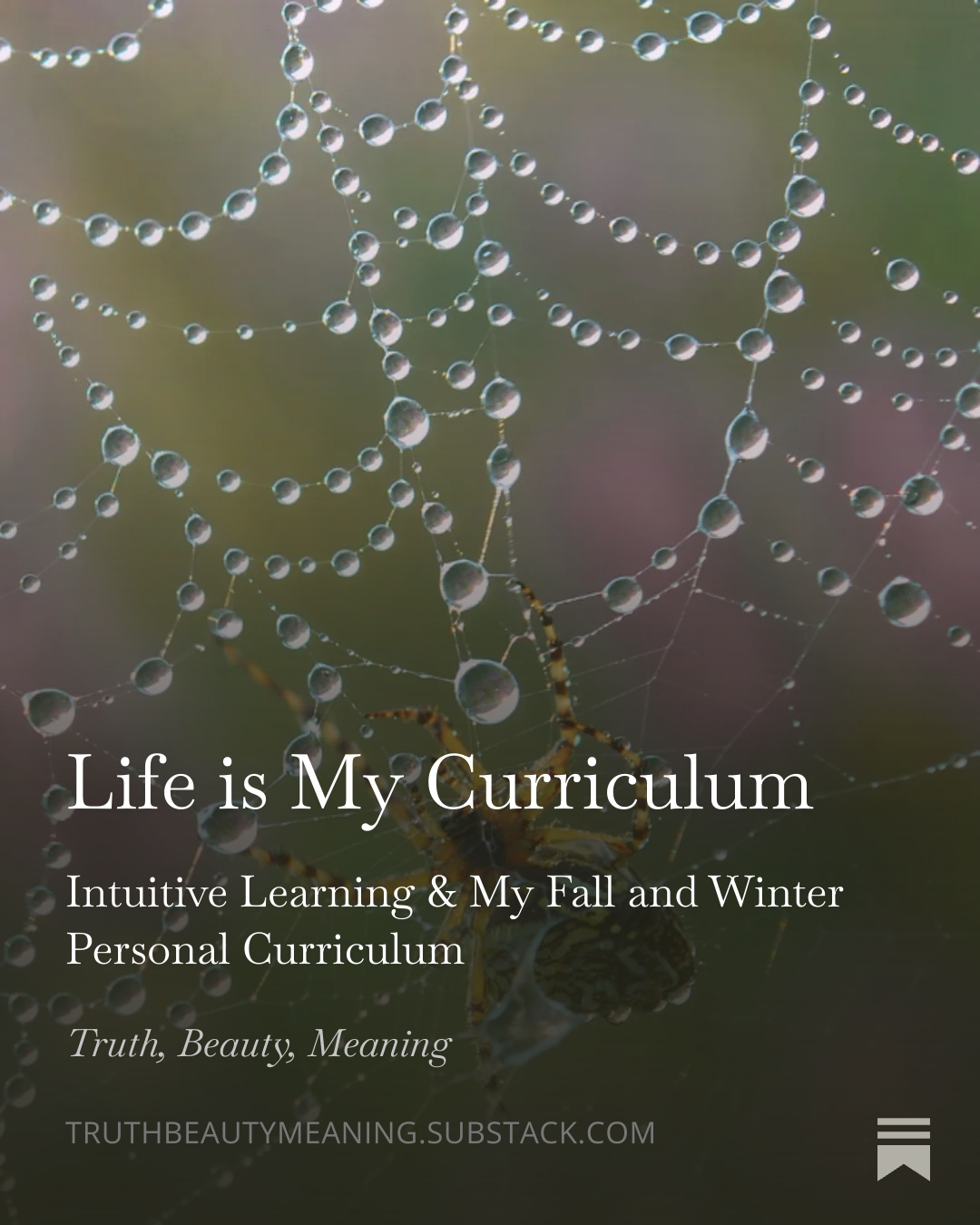lifelong learning